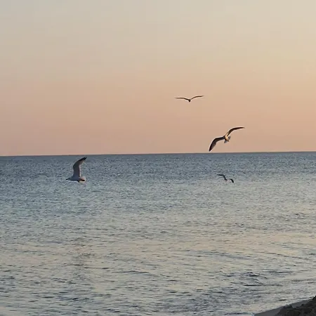 Magia Salento * San Pietro in Bevagna